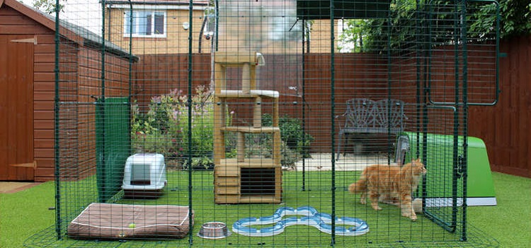 5 Reasons Your Cat Might Need A Portable Cat Enclosure